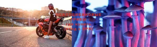 тгк Россошь