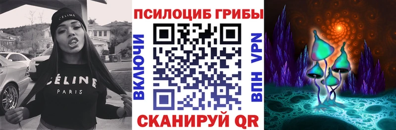 Псилоцибиновые грибы Cubensis  Новосиль 