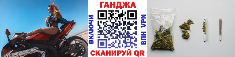 МАРИХУАНА гибрид Новосиль